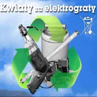 kwiaty-za-elektrograty